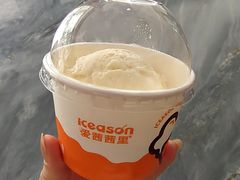 -iceason爱茜茜里·意大利健康冰淇淋(骑龙巷店)