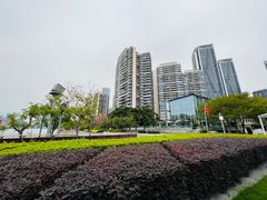 -深圳湾公园(南山区)