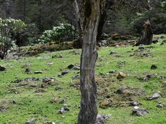 -硗碛藏寨·神木垒景区