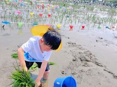 -中国天府农业博览园