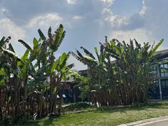 -白鹭湾湿地公园