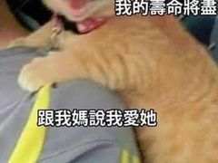 -星巴克臻选(南京艾尚天地店)