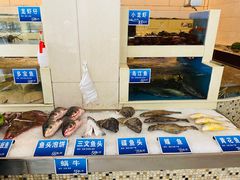 水产区-双井轩(双井店)