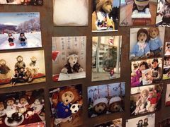 -济州岛泰迪熊博物馆