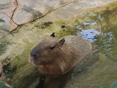 -珠海长隆海洋王国