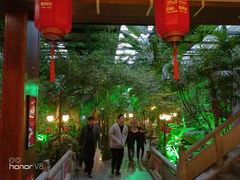 -大鹅岛绿色生态美食园