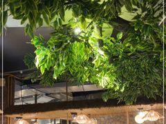 -老号尤兔头(幸福店)