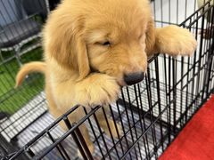 -尚泰清迈机场购物中心