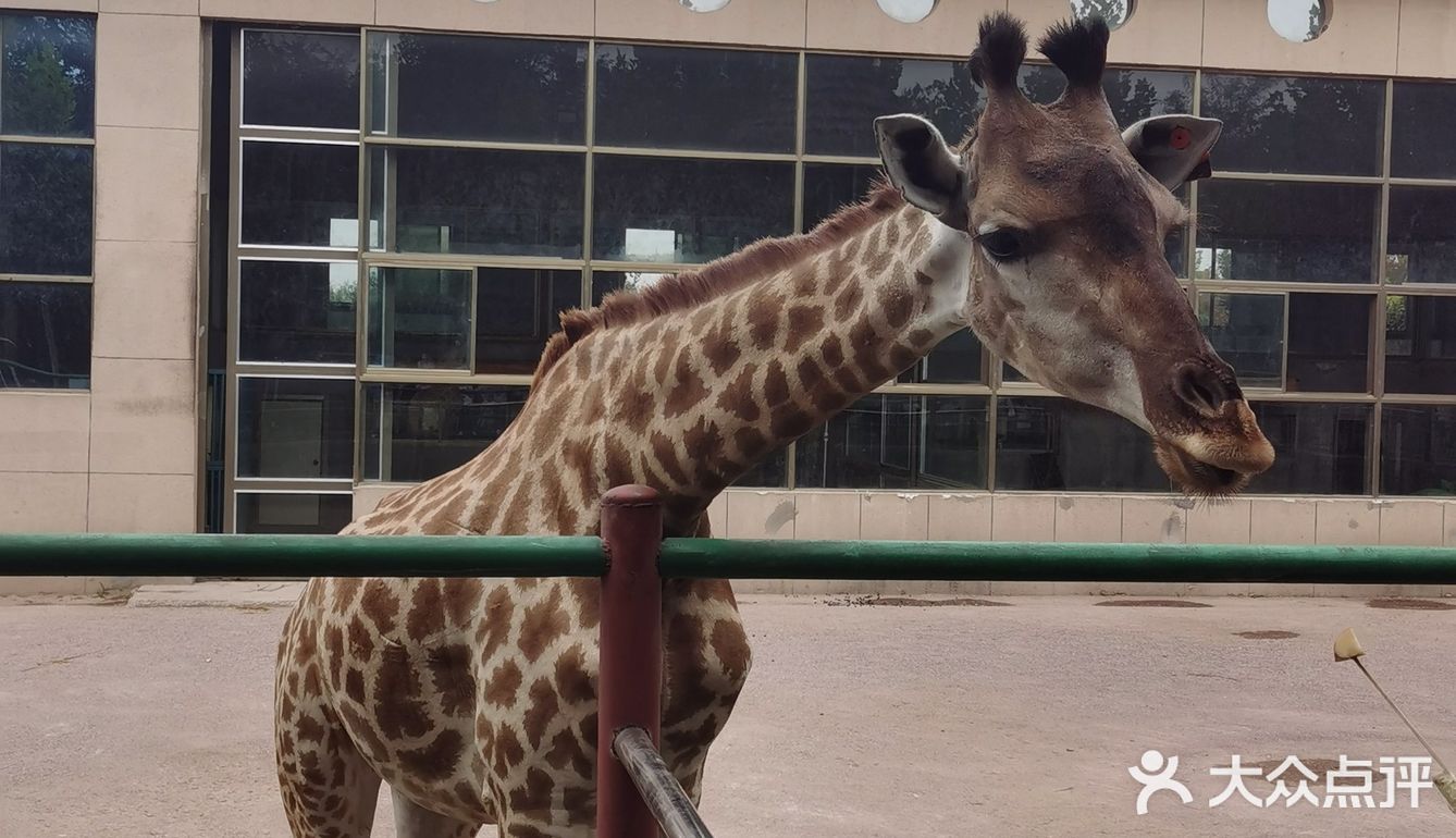 諸城動物園