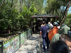 -合肥滨湖国家森林公园