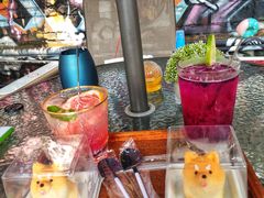 -柴犬高等学院·狗咖·柴犬售卖·宠物训练