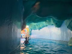 -重庆海昌加勒比海水世界