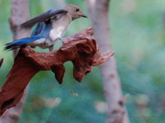 -苏州河梦清园环保主题公园