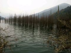 -东海大峡谷