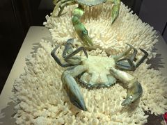 -福建省非物质文化遗产博览苑