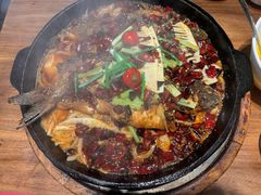 -老板恋上鱼(恒隆广场店)