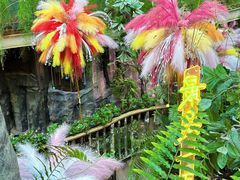 -正佳雨林生态植物园