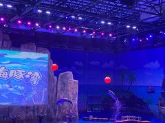 -华夏文旅海洋公园