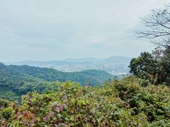 -广州市白云山风景名胜区