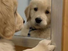 -满记甜品(南京虹悦城三店)