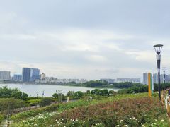 -立新湖公园