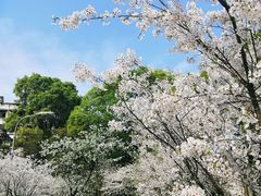 -南山植物园