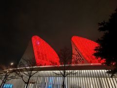 -福州海峡文化艺术中心