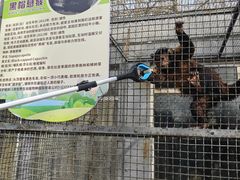 -保定市动物园