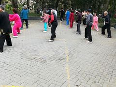 -徐家汇源景区-衡山公园