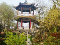-莲花池公园