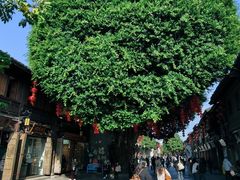 -延福橄榄(三坊七巷店)