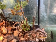 -南宫五洲植物乐园