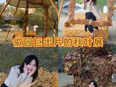 -徽园