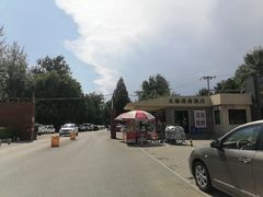 -保定市动物园