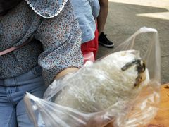 鸡蛋肉松味-糯米包油条(武汉大学店)