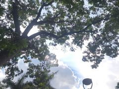 -东莞植物园