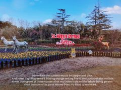 -上海野生动物园