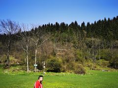 -武陵山森林公园