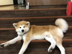 -YCHL Studios健身工作室(市二宫店)