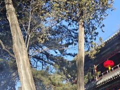 -潭柘寺景区