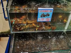 -琼大师东方烤乳猪(亚特兰蒂斯店)