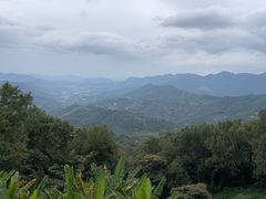 -广州市石门国家森林公园