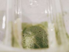 -THE MATCHA TOKYO抹茶东京
