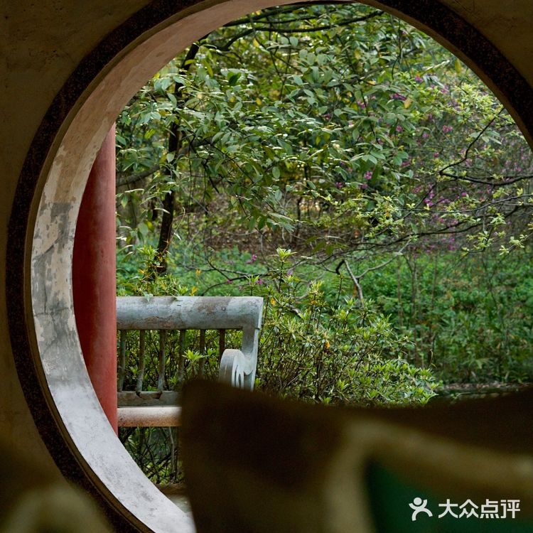 武汉植物园里的绿野仙踪