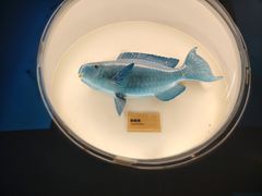 -陕西自然博物馆