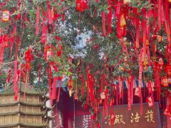 -国恩寺