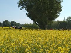 -长白岛森林公园