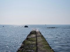 -青岛第二海水浴场