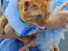 -深圳湾万象城(南山店)