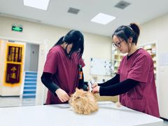 -美联众合爱康动物医院•复杂内科•肿瘤科•牙科•腔镜诊疗中心
